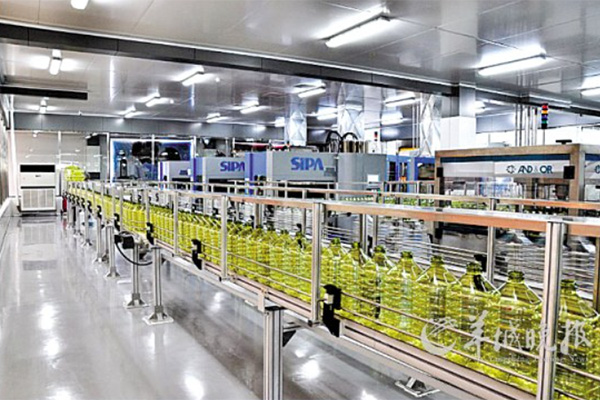 食品保健净化车间：食品安全的关键屏障
